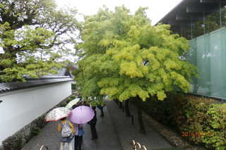 P5100298.JPG