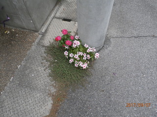 P9071414.JPG