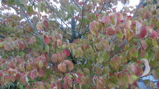 PA071500.JPG