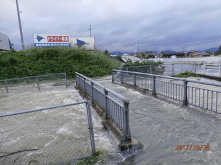 PA230072.JPG
