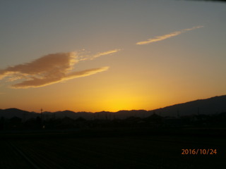 PA241547.JPG