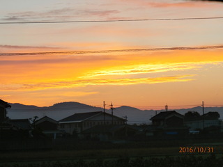 PA311610.JPG